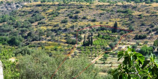 Terreno in vendita alle porte di Noto